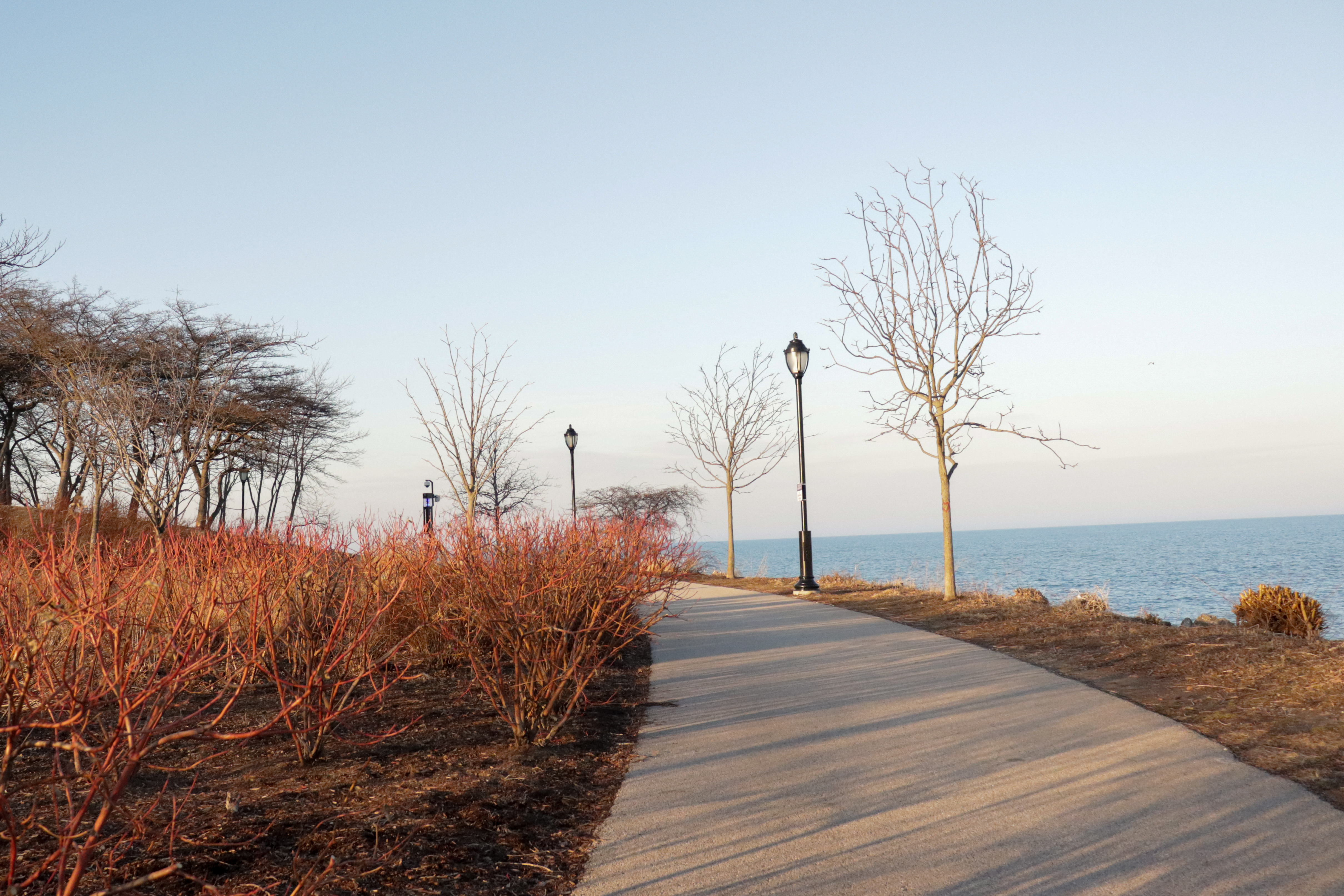 Concrete sidewalk with black light posts and Lake Michigan in the background.